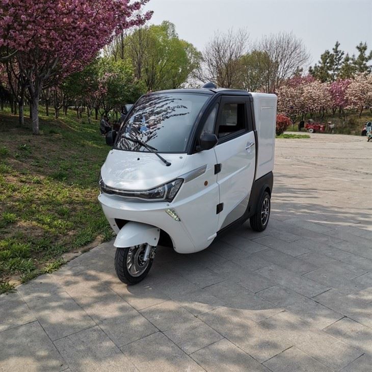 3KW Electric Tricycle Cargo Car For City Delivery Service