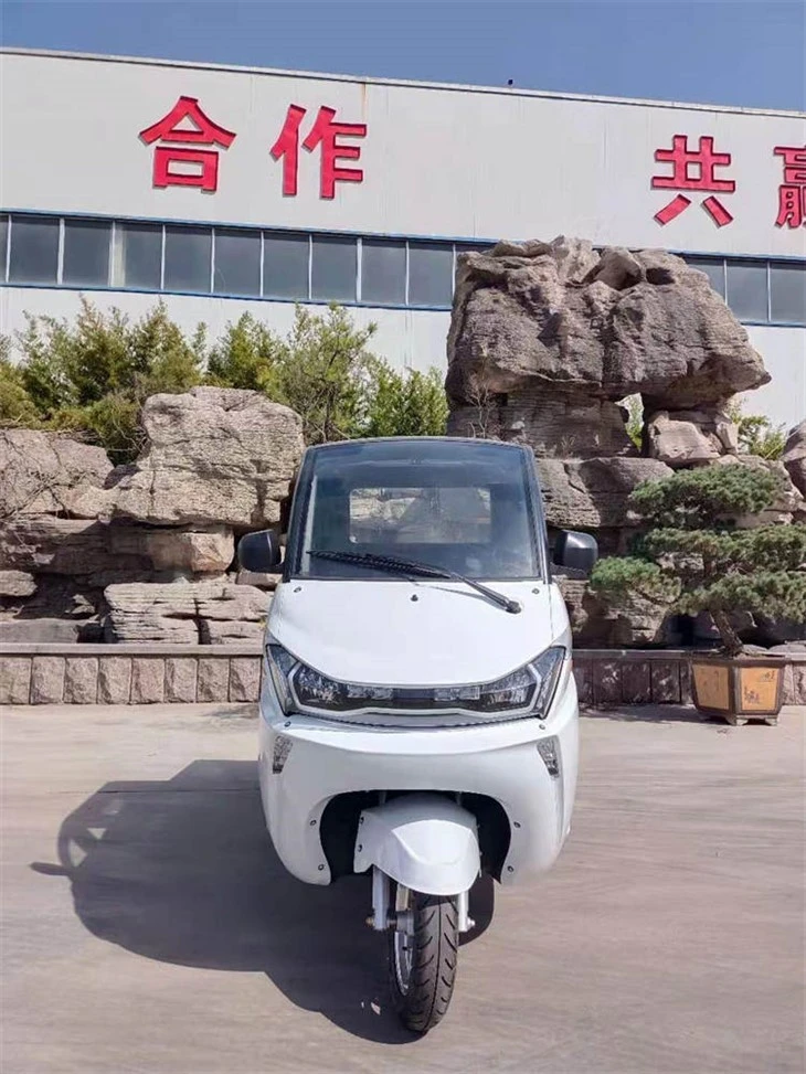 Runhorse Electric Scooters 3 Wheel Adult
